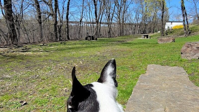 Park for Paws - Catskill, NY