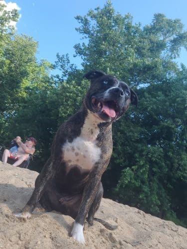 Cedar Hill Park
