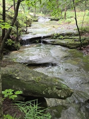 Don Robinson State Park