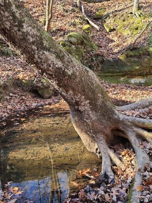 Don Robinson State Park