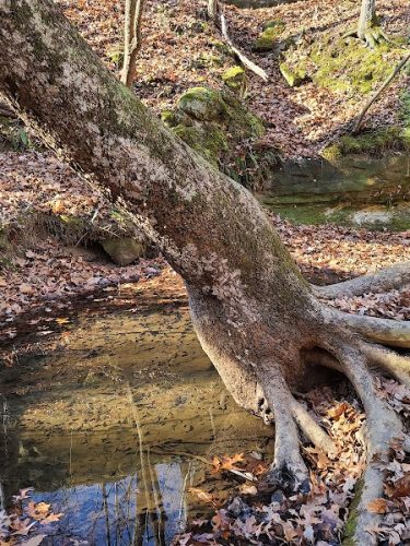 Don Robinson State Park