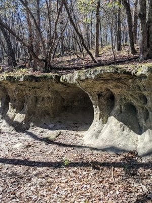 Don Robinson State Park