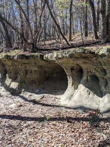 Don Robinson State Park