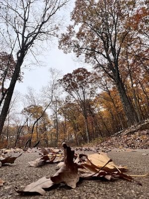 Don Robinson State Park