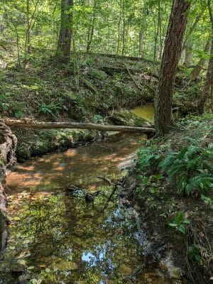 Don Robinson State Park