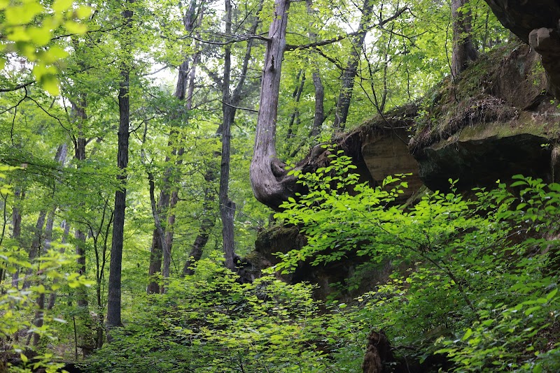 Sandstone Canyon Trail Trailhead - Cedar Hill, MO