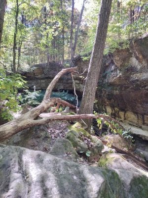 Sandstone Canyon Trail Trailhead