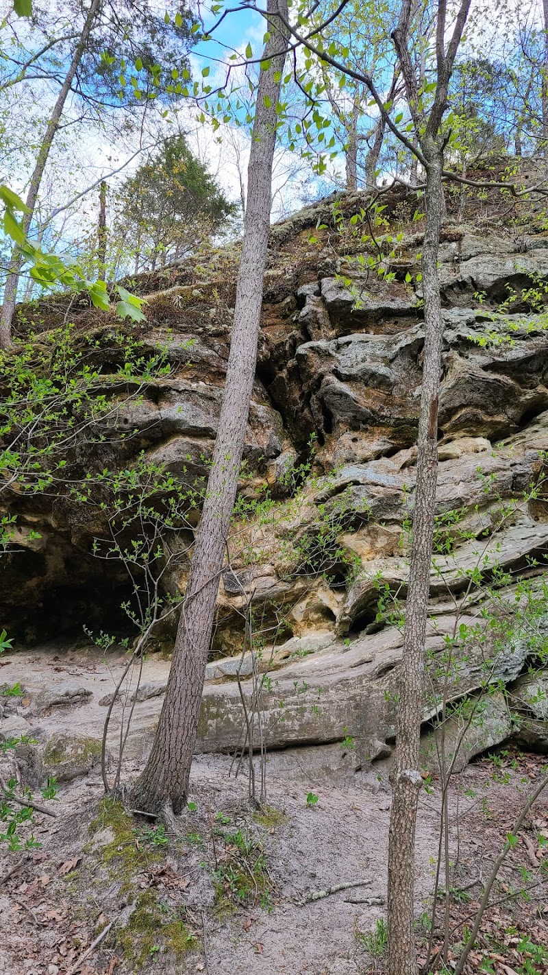 Sandstone Canyon Trail Trailhead - Cedar Hill, MO