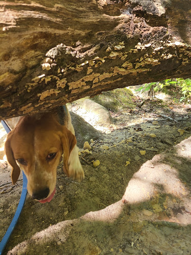 Sandstone Canyon Trail Trailhead