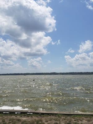 Bartlett Park