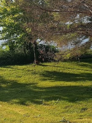 Potawatomi Park