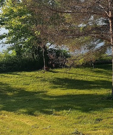 Potawatomi Park