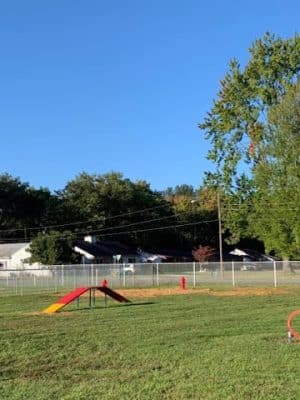 Centralia Dog Park