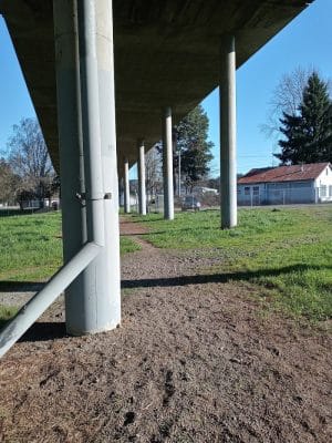 South Gold Street dog park