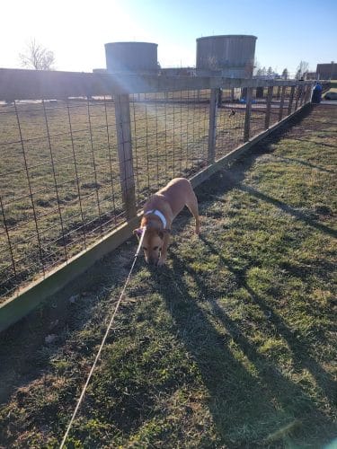 Champaign Bark District (Private/Members Only)