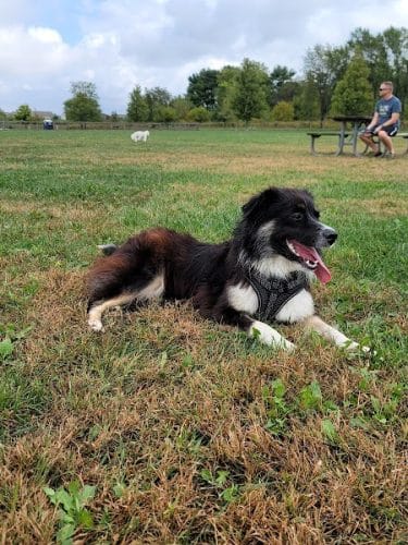 Champaign Bark District (Private/Members Only)