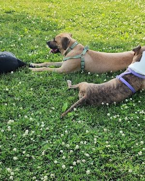 Champaign Bark District (Private/Members Only)