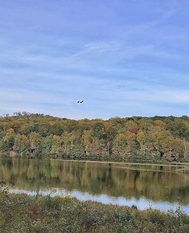 Indian Creek Valley Rail Trail - Champion Trailhead