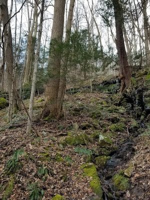 Indian Creek Valley Rail Trail - Champion Trailhead