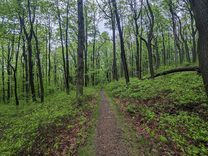 Roaring Run Natural Area - Champion, PA