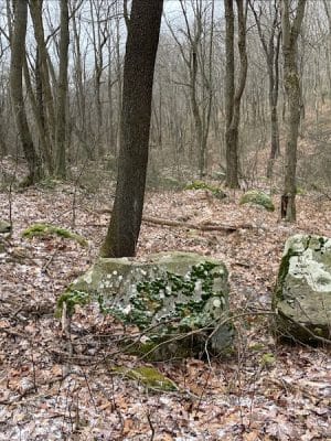 Roaring Run Natural Area