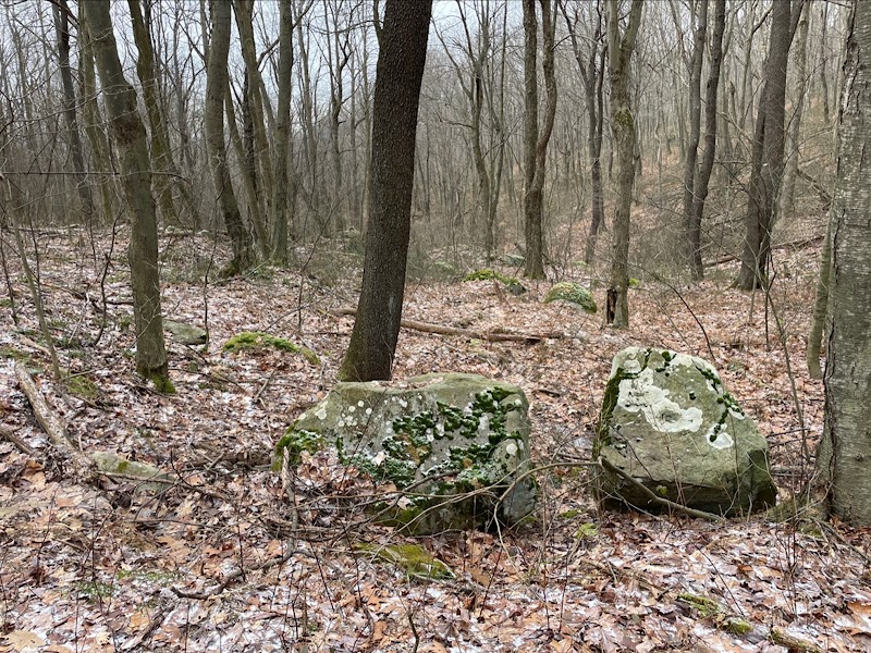 Roaring Run Natural Area - Champion, PA