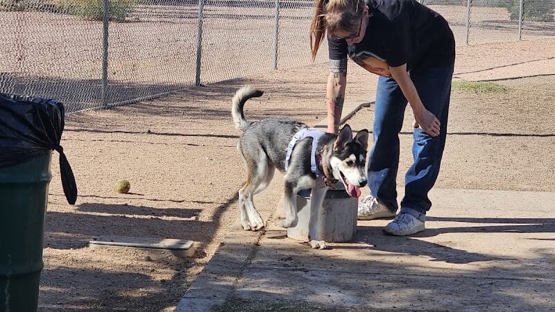 Nozomi Dog Park - Chandler, AZ