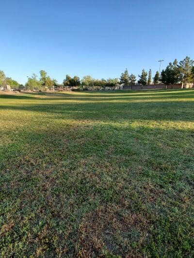 Shawnee Dog Park - Chandler, AZ