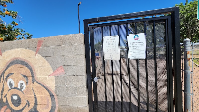 Snedigar Dog Park - Chandler, AZ