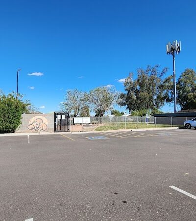 Snedigar Dog Park - Chandler, AZ