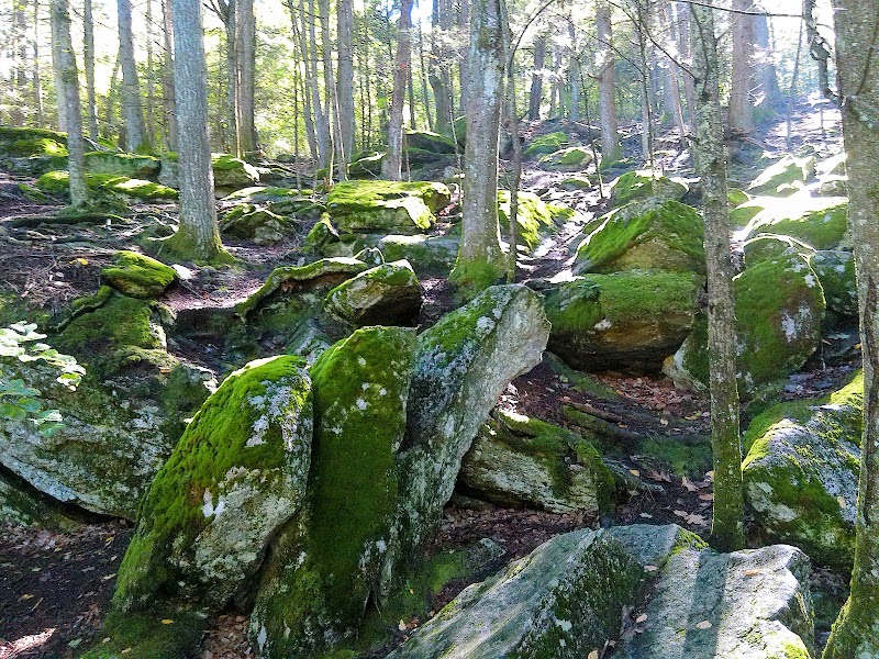 Diana's Pool - Chaplin, CT