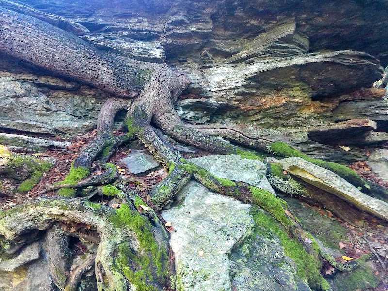Diana's Pool - Chaplin, CT