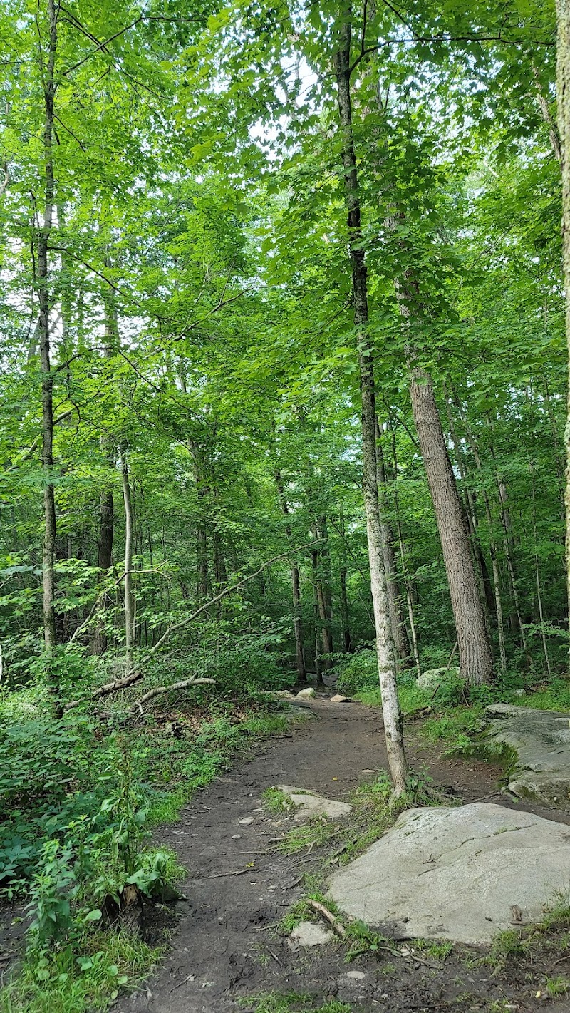Diana's Pool - Chaplin, CT