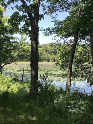 Hubbard Sanctuary and Agnes' Pasture