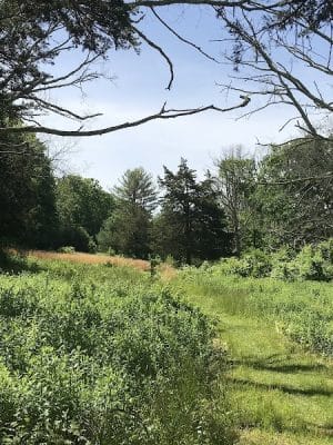 Hubbard Sanctuary and Agnes' Pasture