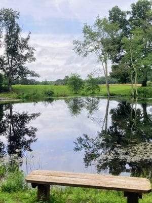 Hubbard Sanctuary and Agnes' Pasture