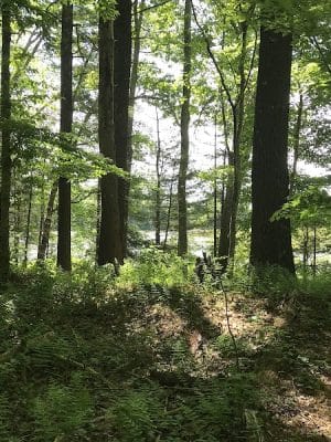 Hubbard Sanctuary and Agnes' Pasture