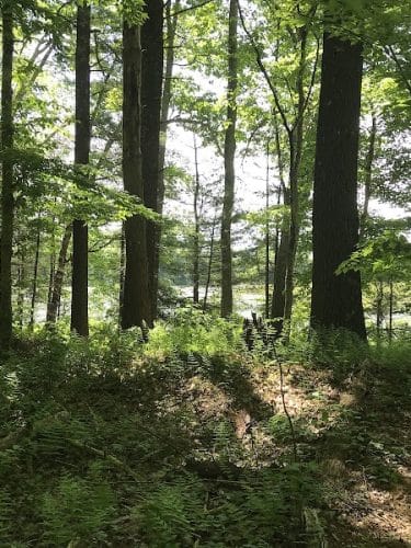 Hubbard Sanctuary and Agnes' Pasture