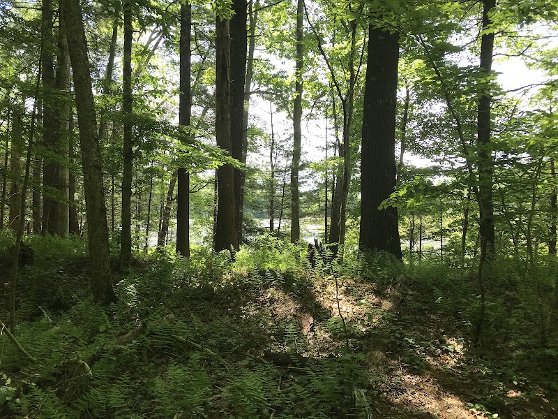 Hubbard Sanctuary and Agnes' Pasture - Chaplin, CT
