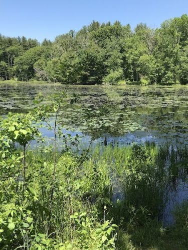 Hubbard Sanctuary and Agnes' Pasture