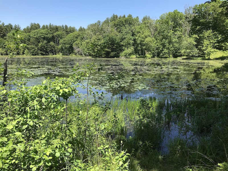 Hubbard Sanctuary and Agnes' Pasture - Chaplin, CT