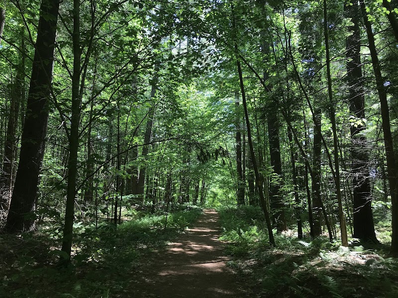 Hubbard Sanctuary and Agnes' Pasture - Chaplin, CT