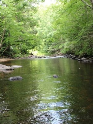 Nickerson Park Family Campground