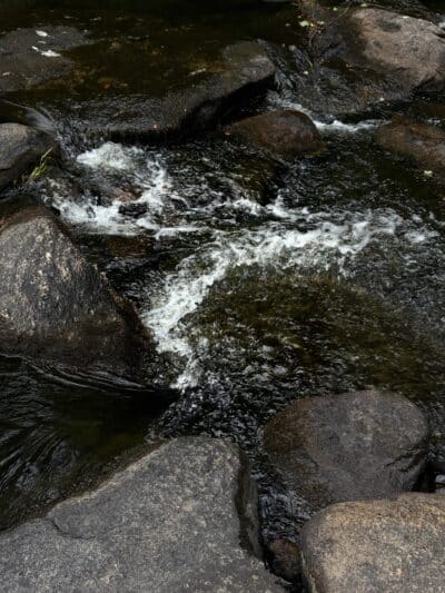 Nickerson Park Family Campground - Chaplin, CT