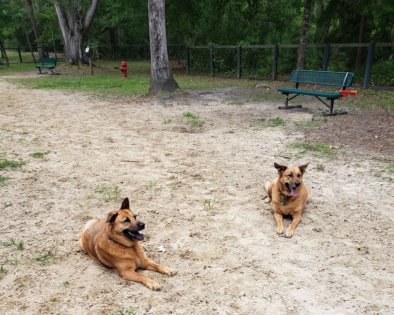 Bridgewater Dog Park - Charleston, SC