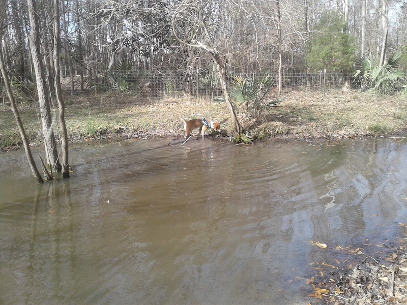 Bridgewater Dog Park - Charleston, SC