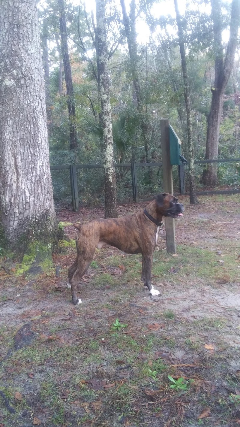 Bridgewater Dog Park - Charleston, SC