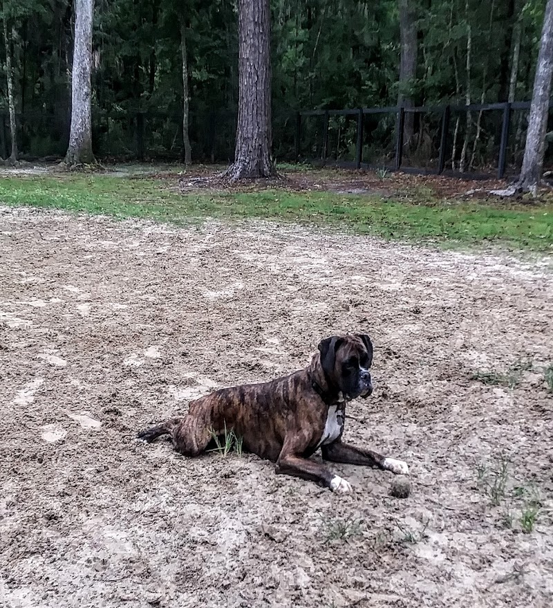 Bridgewater Dog Park - Charleston, SC