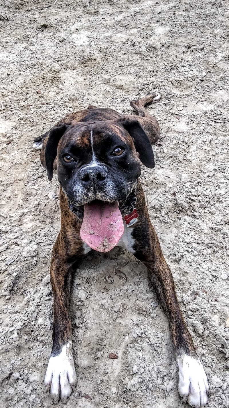 Bridgewater Dog Park - Charleston, SC
