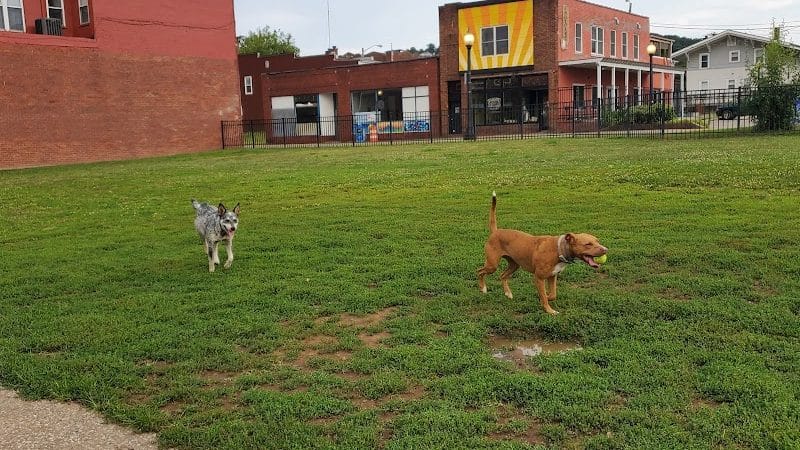 Ruth Rafferty Peyton Dog Park - Charleston, WV